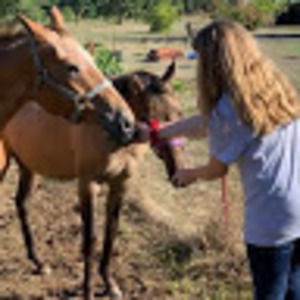 Meet your Posher, Amberly